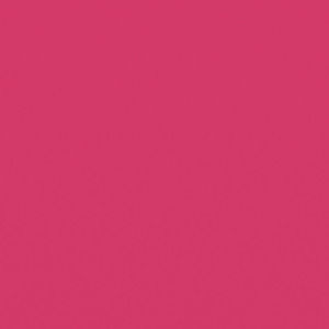 Meet your Posher, Leila